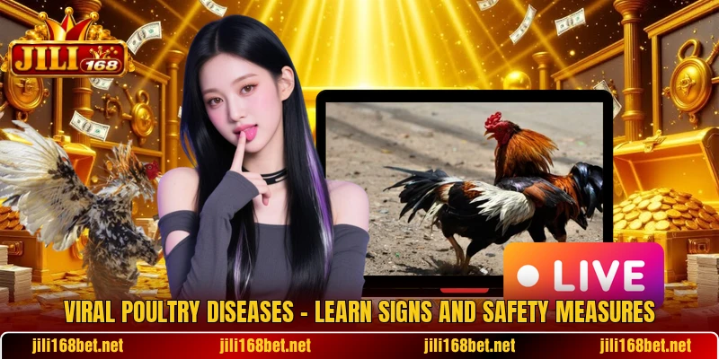 Viral Poultry Diseases – Learn Signs And Safety Measures